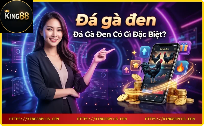 Cận cảnh gà đen lông đen tuyền mắt sáng