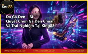 Cận cảnh gà đen lông đen tuyền mắt sáng