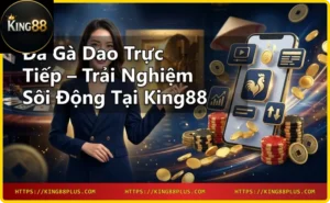 Chân gà chọi gắn dao sắc bén trong đá gà dao trực tiếp